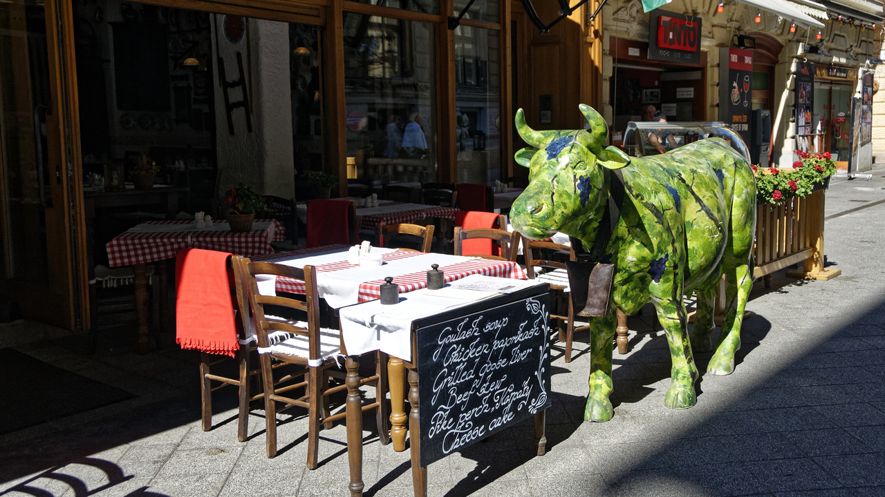 20150423 102921•Budapest•Budapesti kisterseg•Hungary